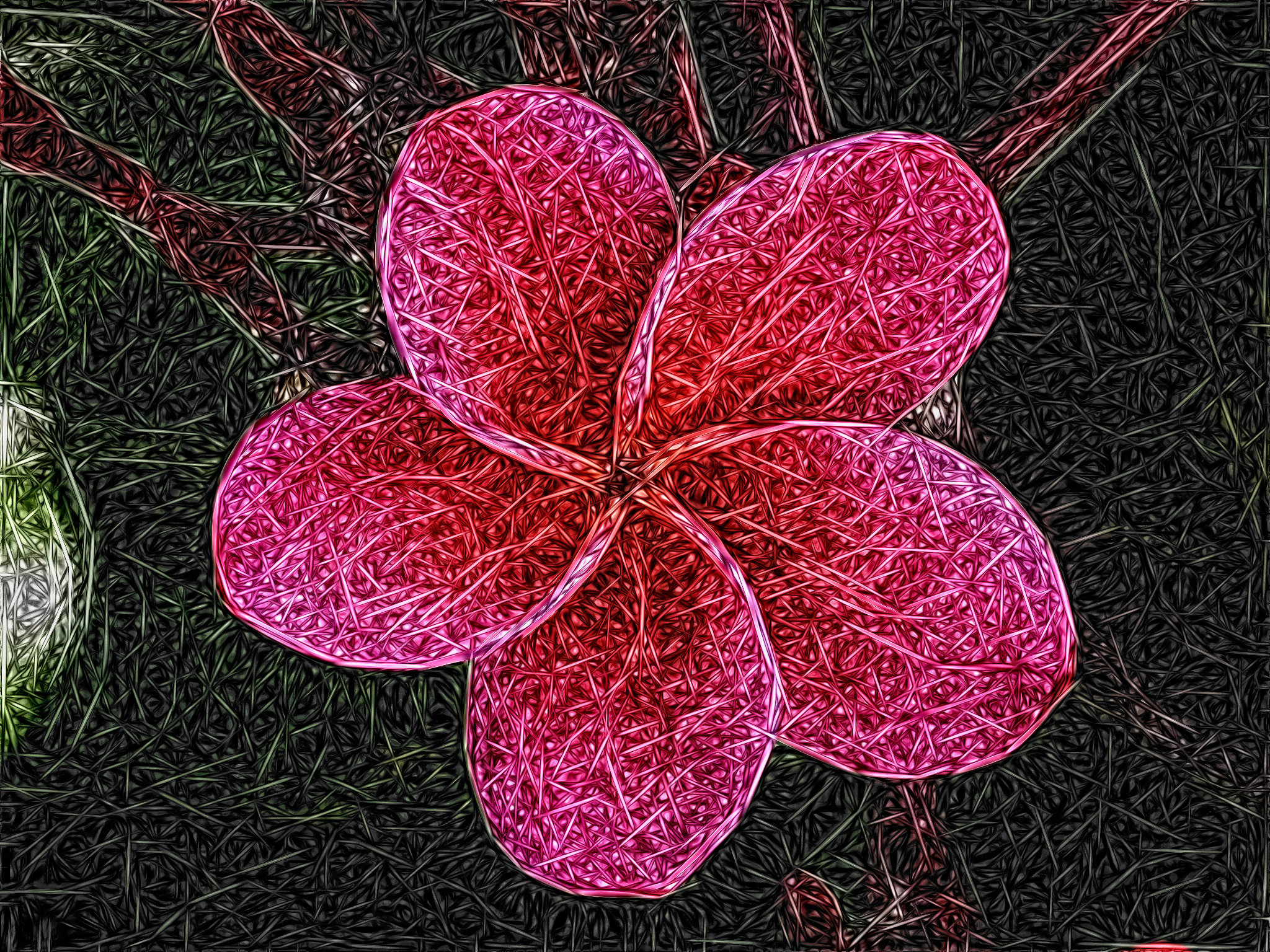 fp110405-20.jpg