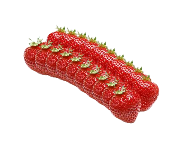 Untitled.png