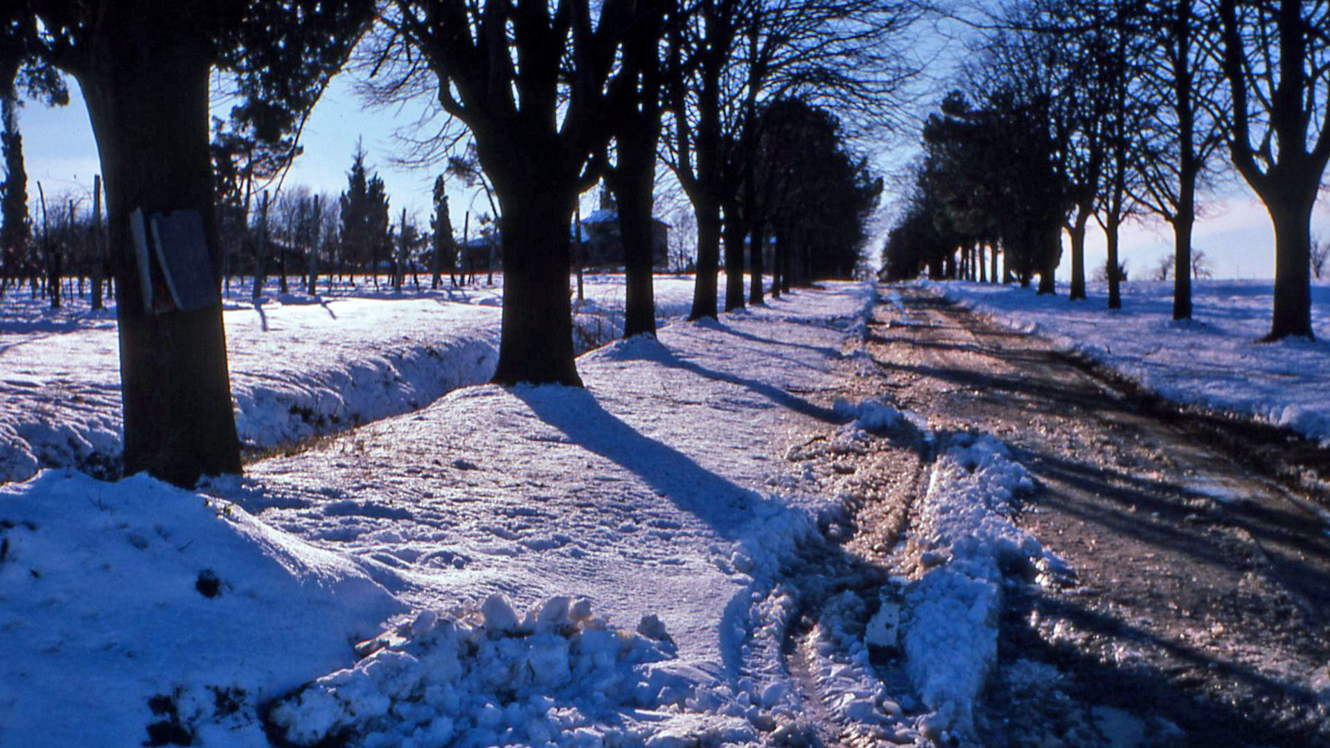 1979_Dia_194.jpg