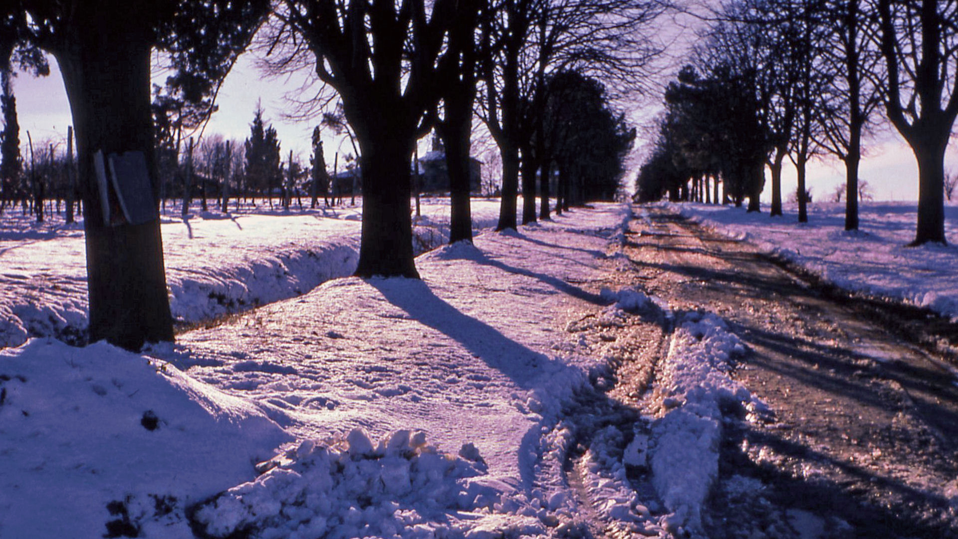 1979_Dia_194-323_CT.jpg