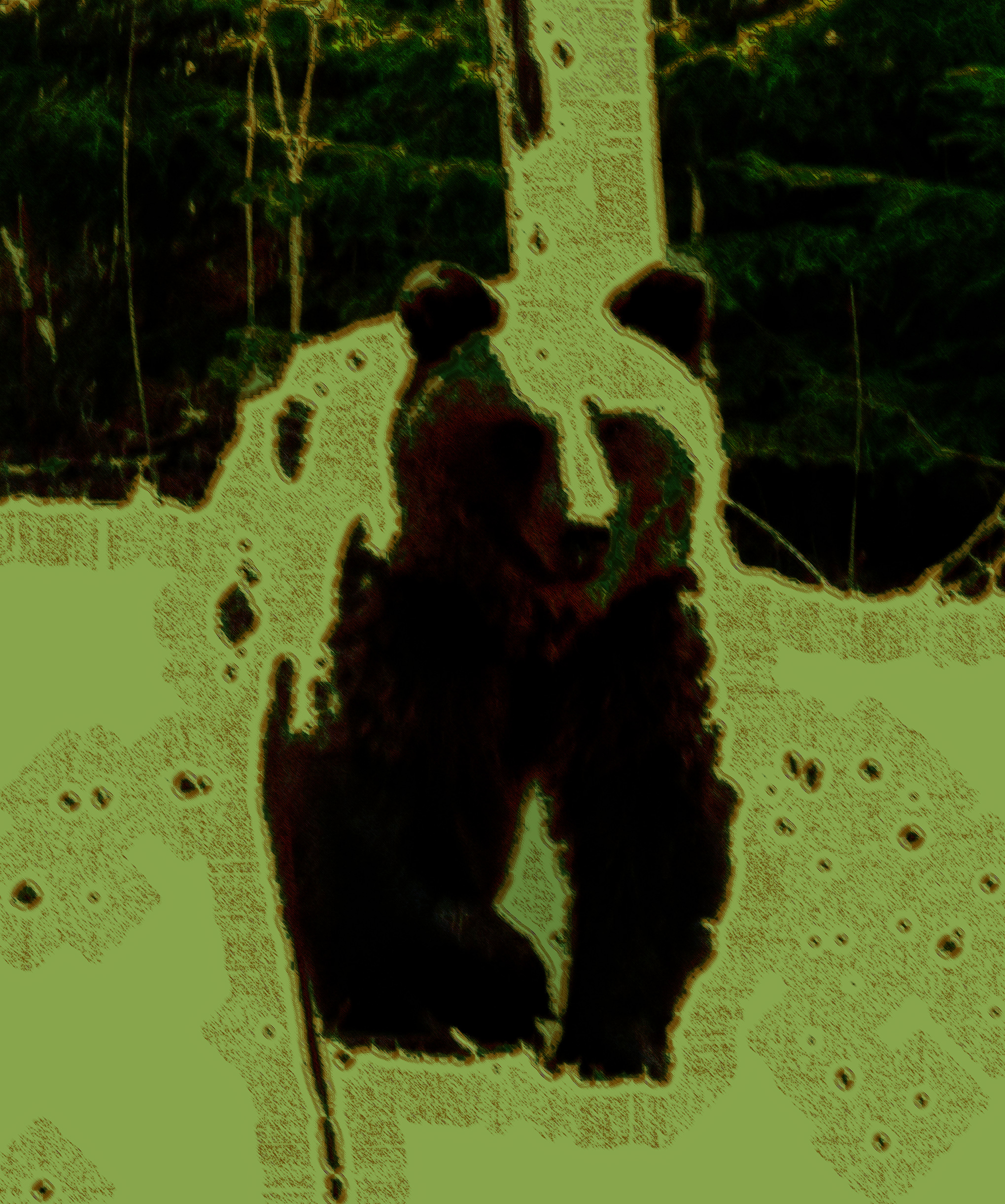 3392_karhu2_cr-DN-free.jpg