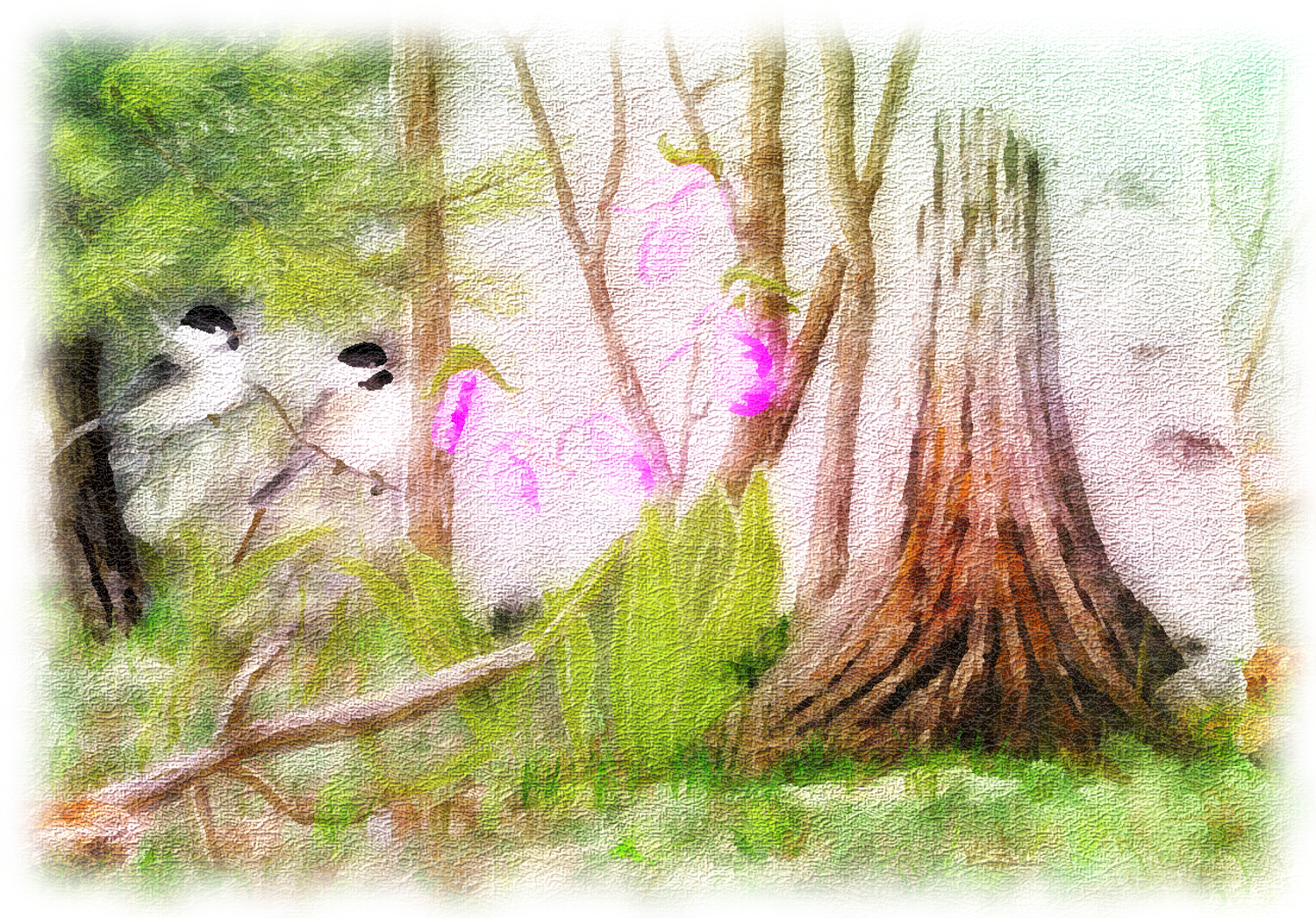 145_spring-watercolor3_aquarelDN.png