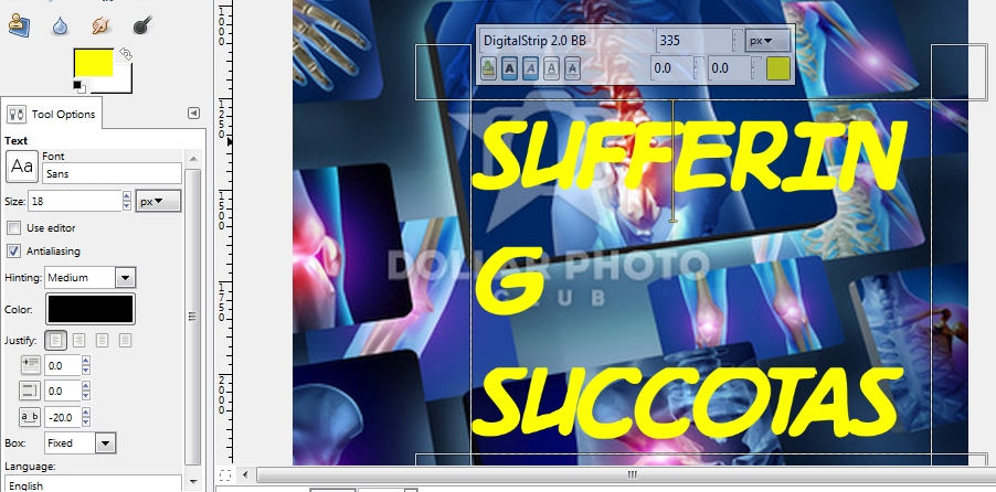 gimpimage.jpg