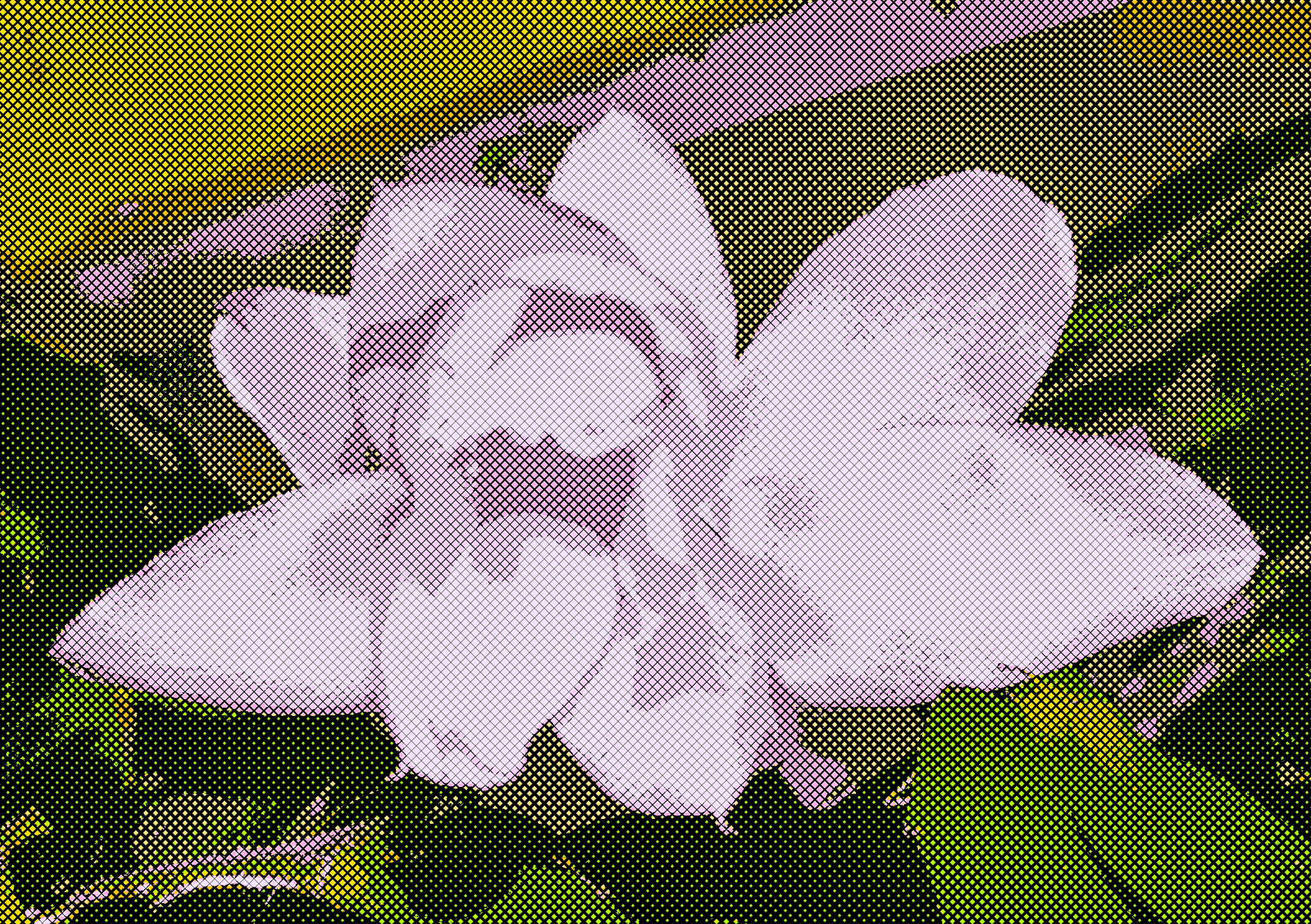 L1000147b.png