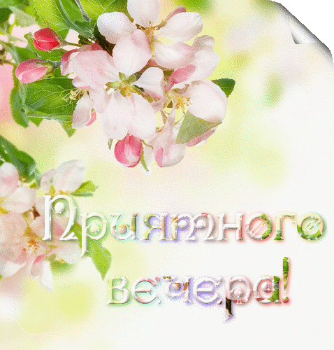 0_a4335_b608ee50_orig.gif
