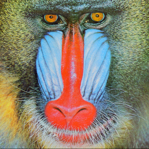Stegano-Mandrill-1.png