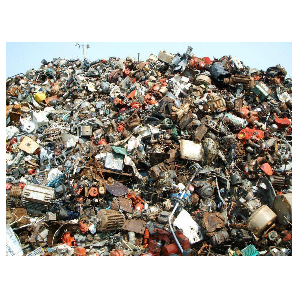 Find the cat.jpg