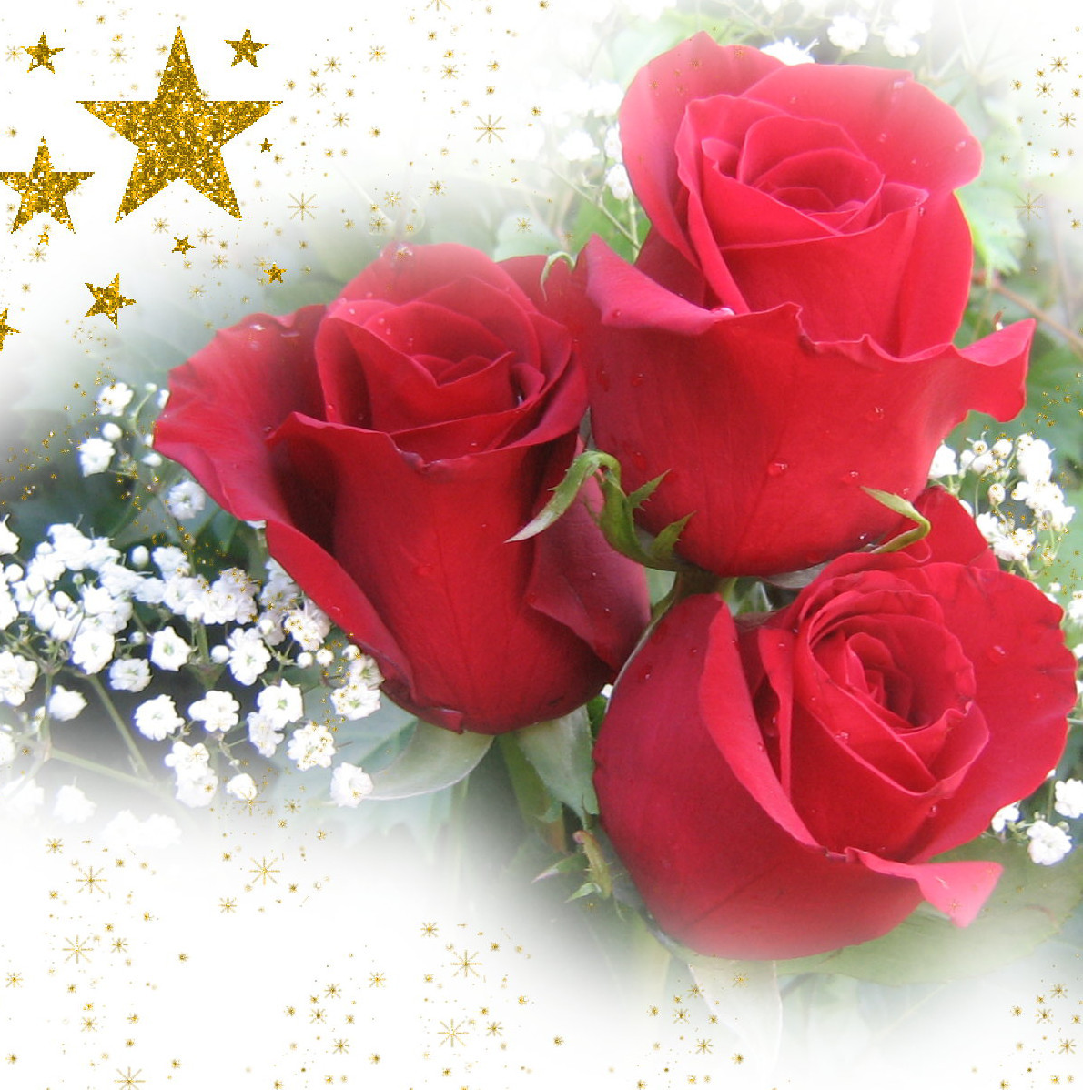 3roses.jpg