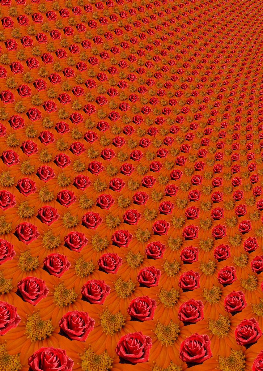 output.jpg