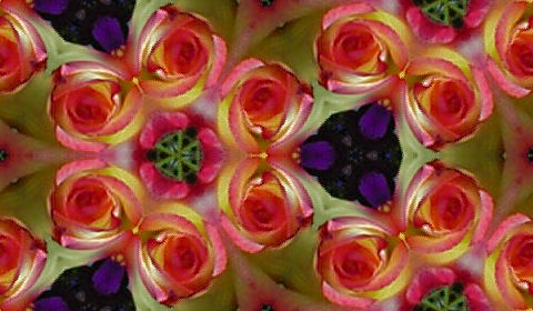 rosepetals.png