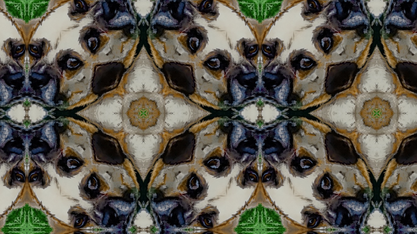 Cody_Sketch20110414221718.JPG
