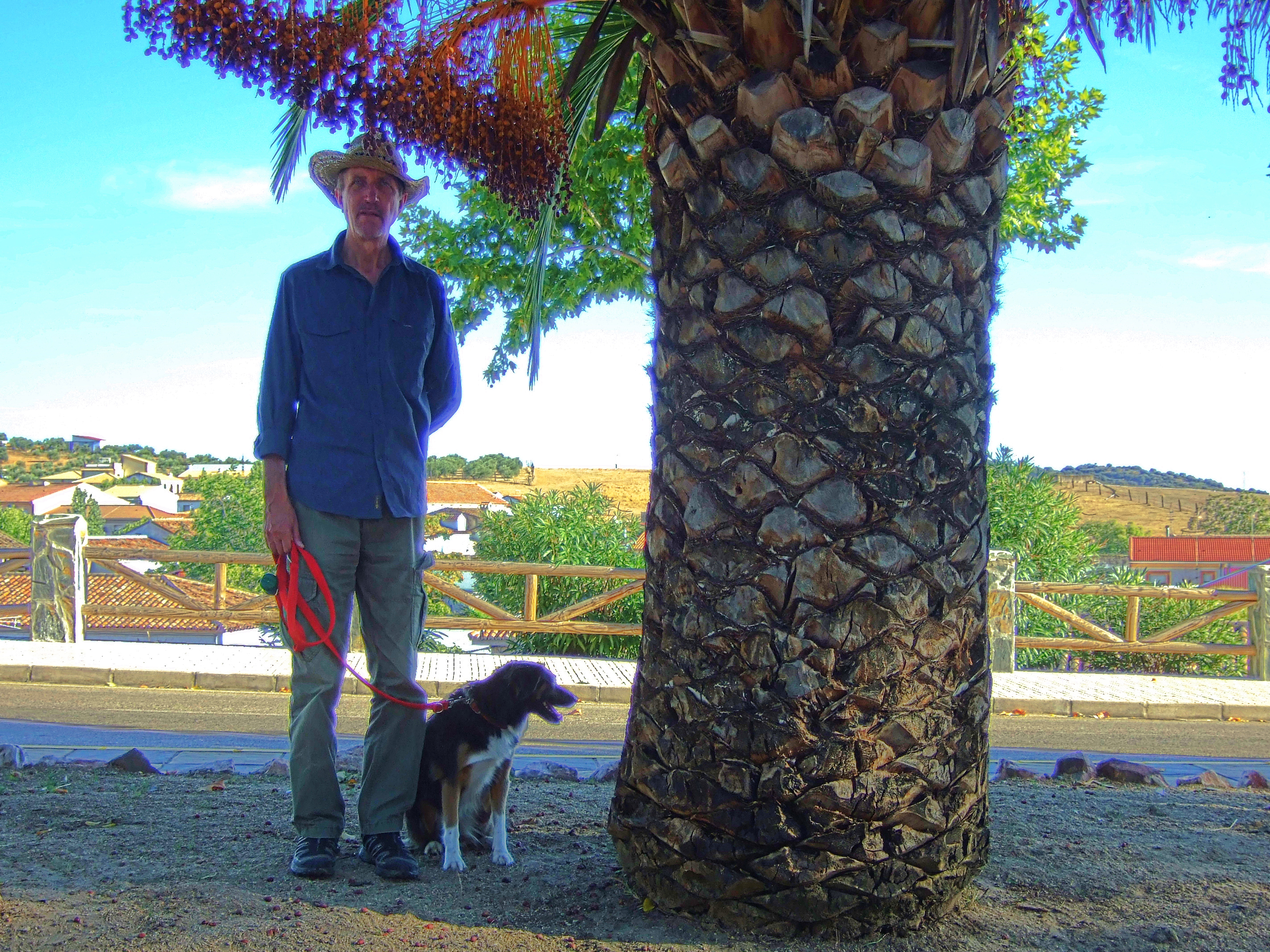DSCF6853.JPG