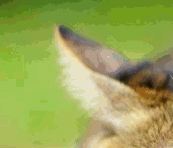 151212024957.png