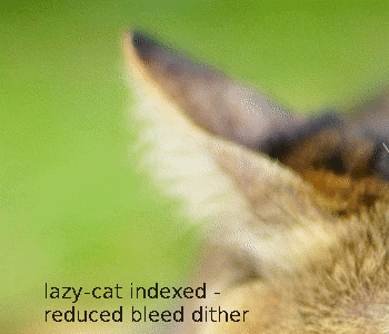 Lazy-Cat-reduced.png