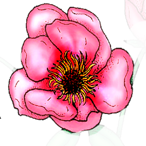 II-FF007-crop-T.png