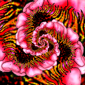 II-FF007-crop-T-drosted.png