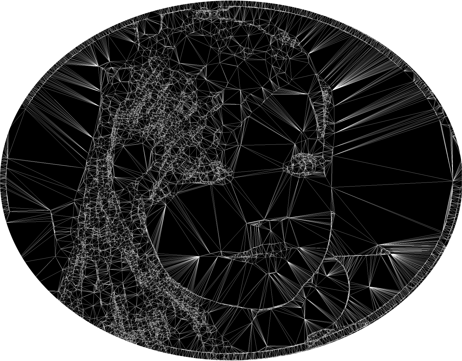 DSCF1624-delaunay.png