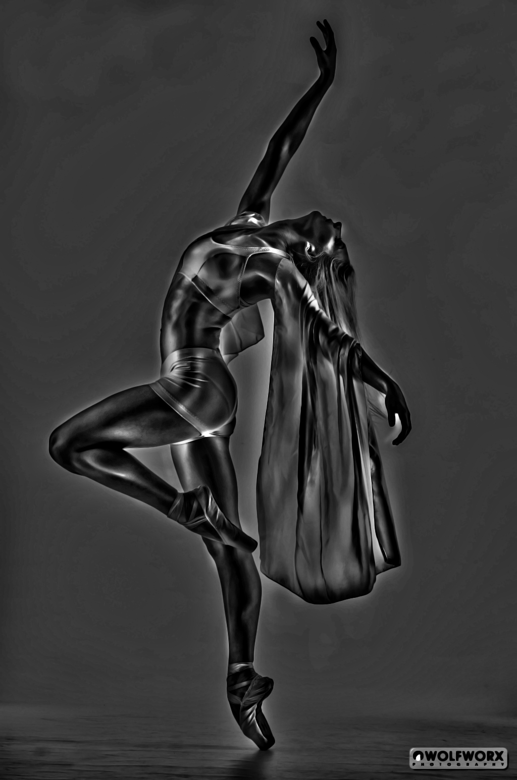 4650_WPB-50389-2_GCembossed.jpg