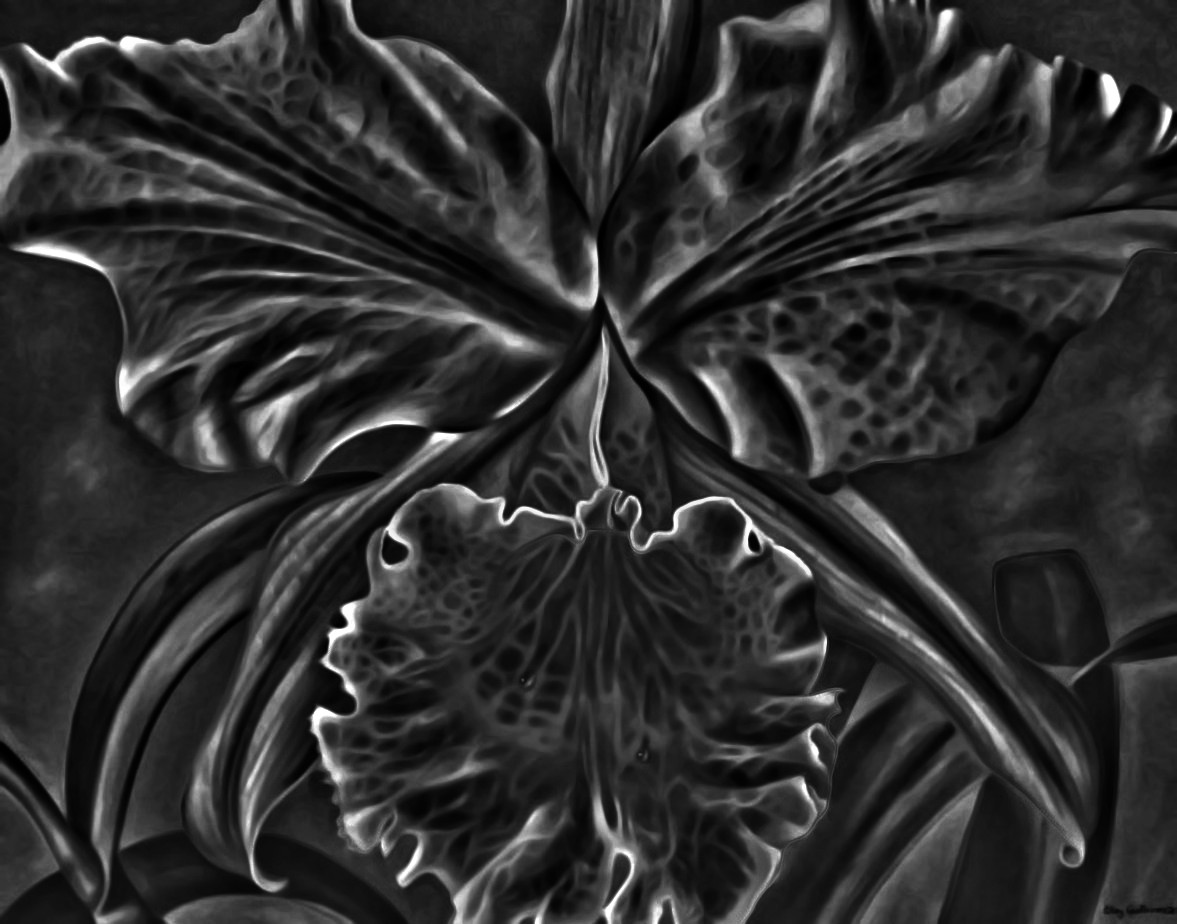 flower-emboss.jpg