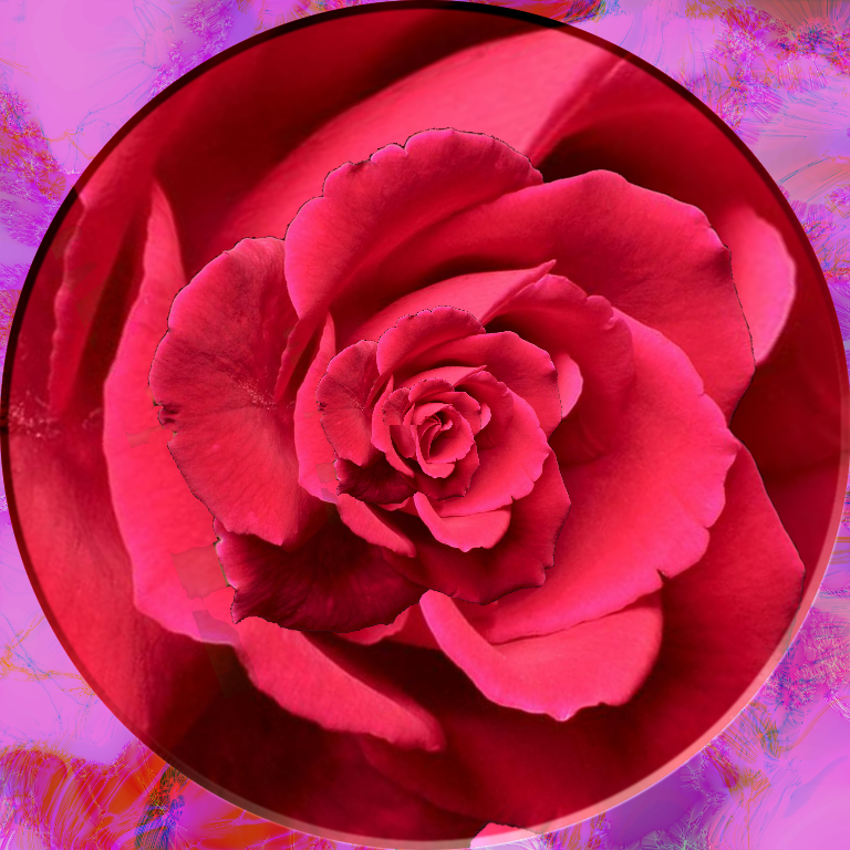 Droste-of-rose.png
