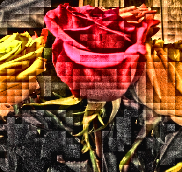 Roses Tiled Normalization.jpg