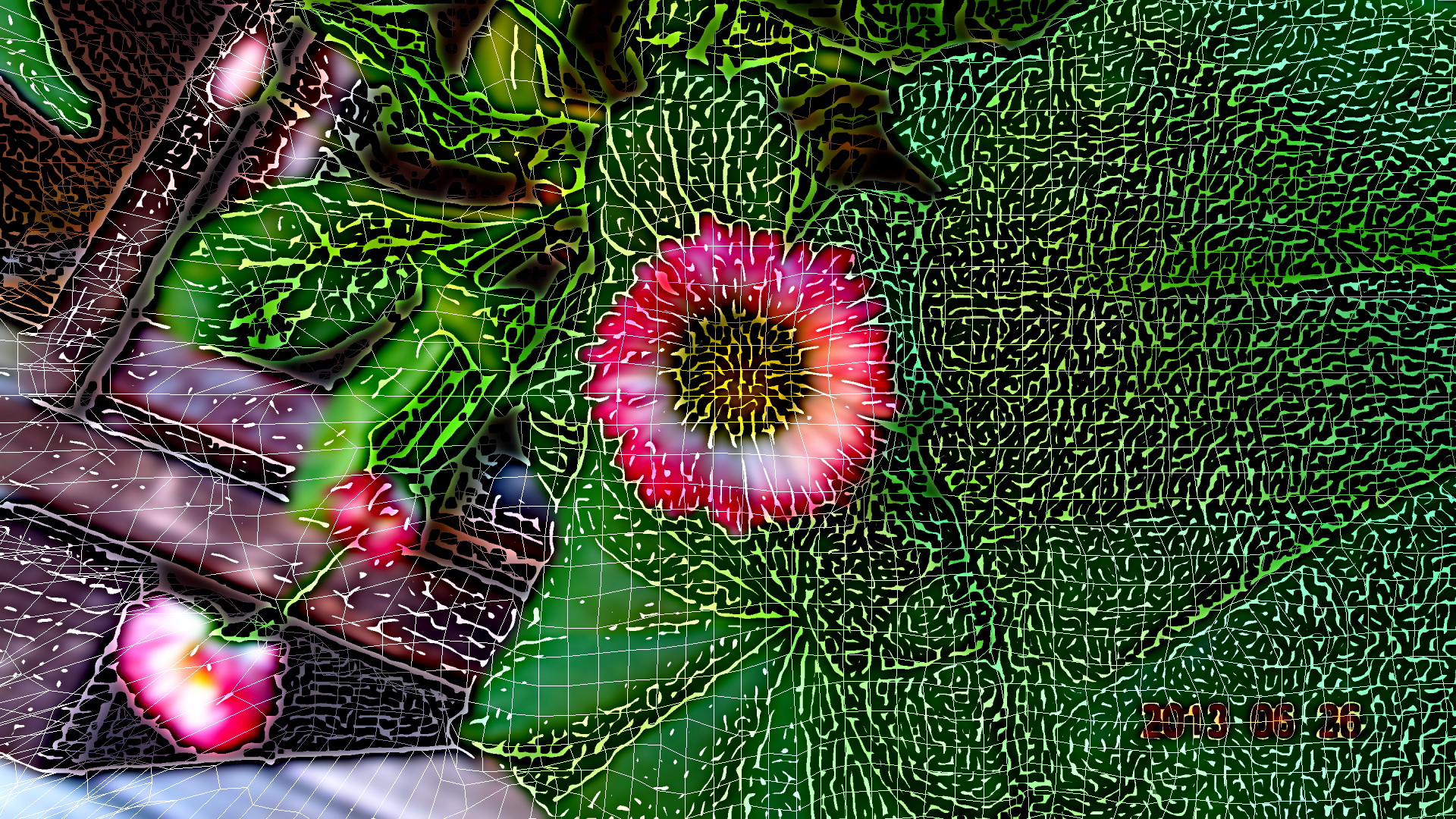 DSC04566_RS_WireFrame.JPG
