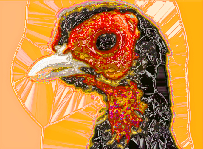 BirdCrystalN.jpg
