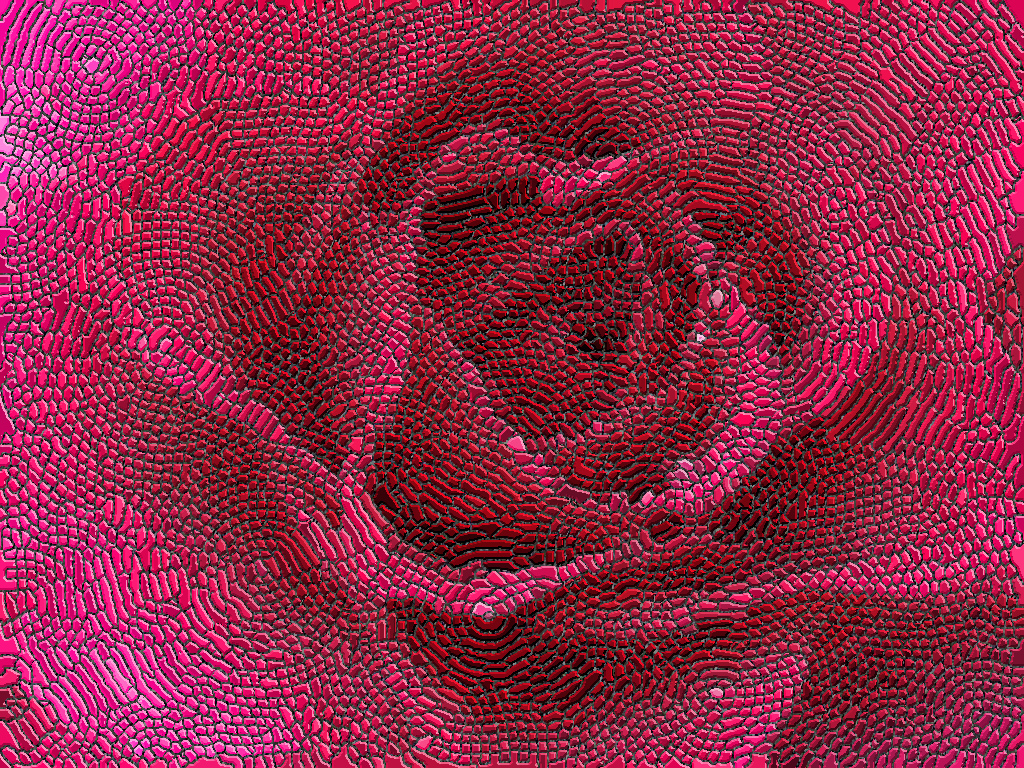 fp122406-03.jpg
