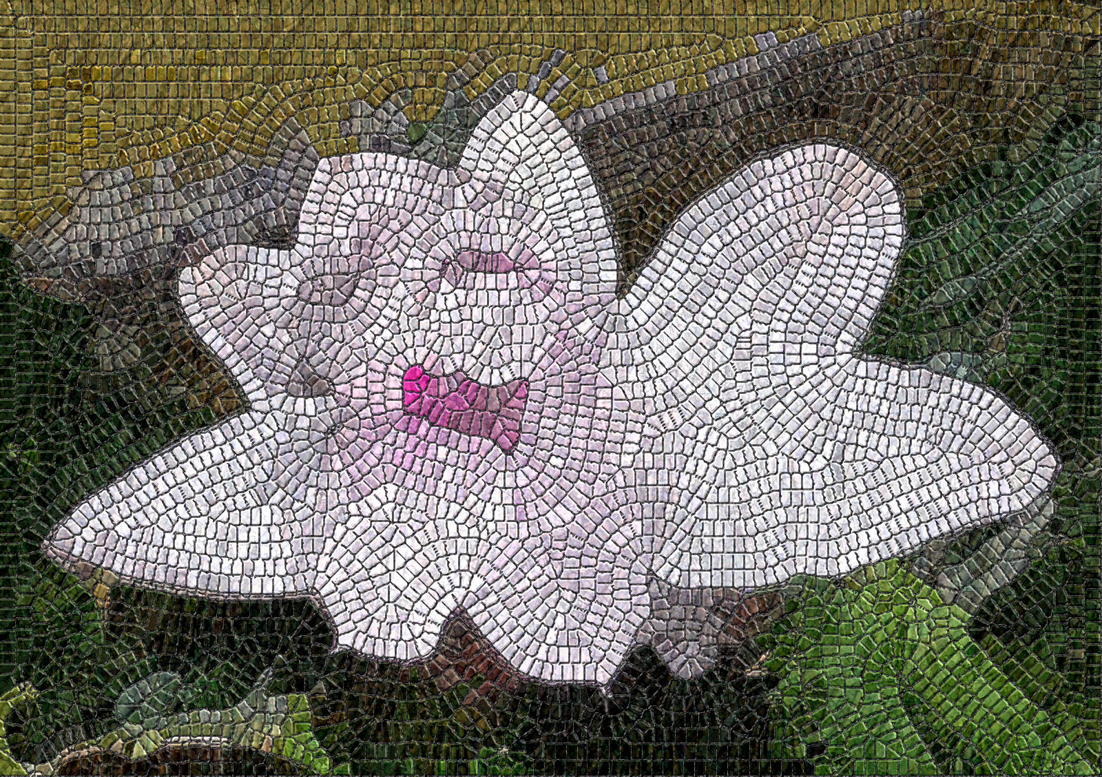 cactus_flower.jpg