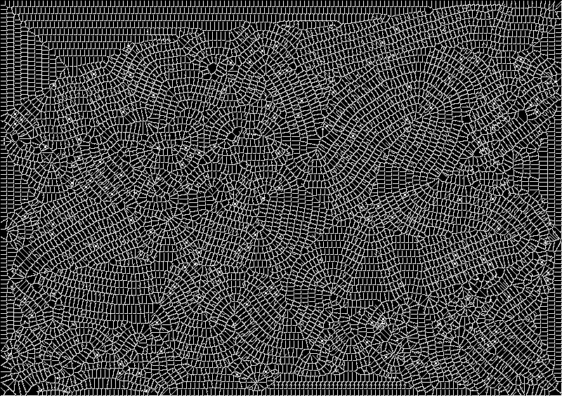 cactus_flower_my-base-for-mosaic.jpg