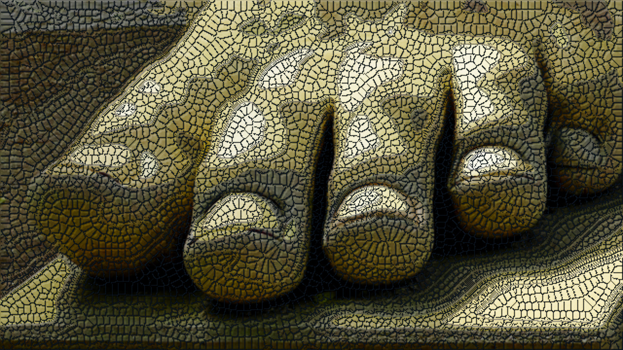 foot-853400_960_720-MosaicLyleStyle-DN.jpg