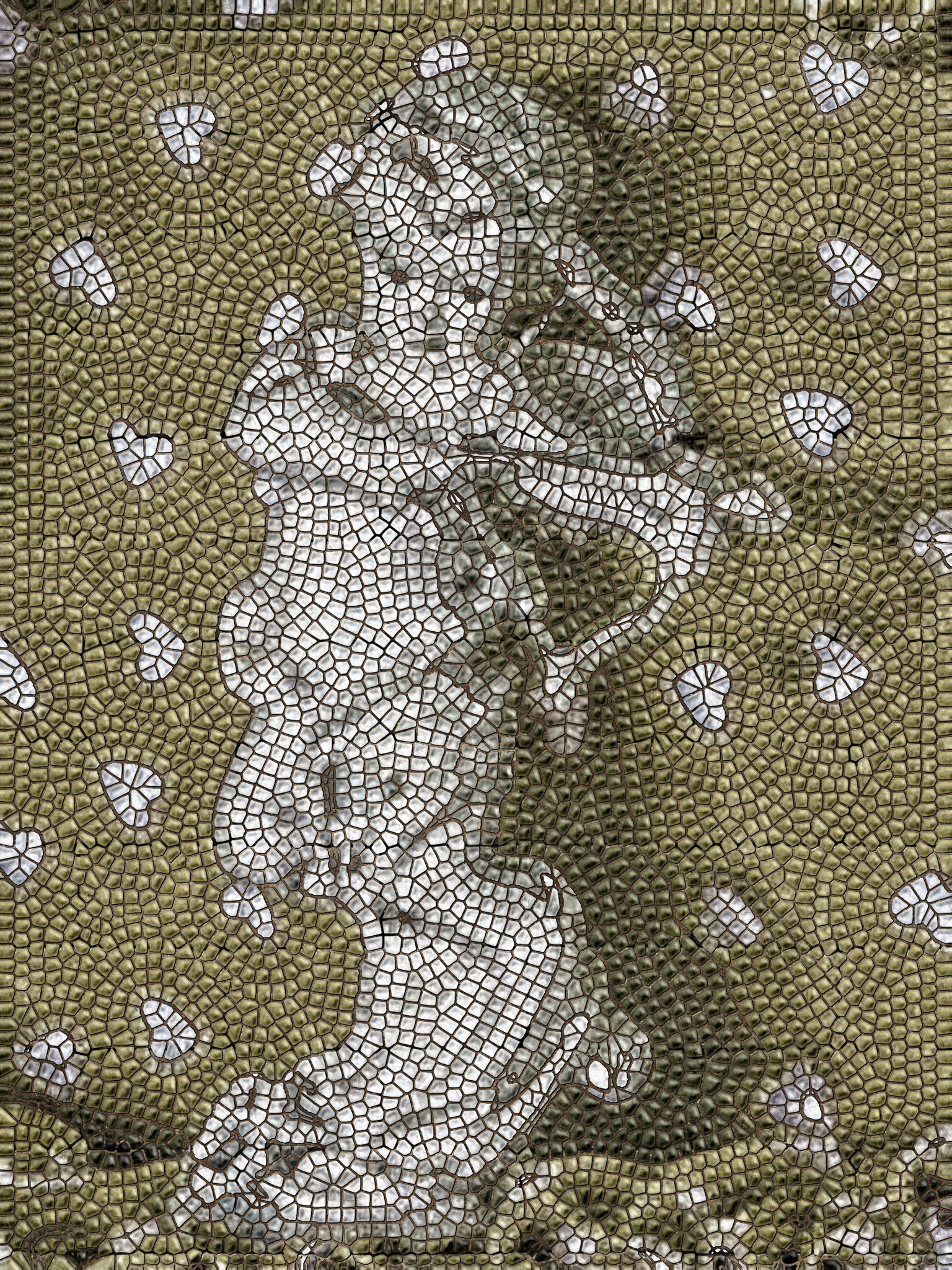 fp011406-10.jpg