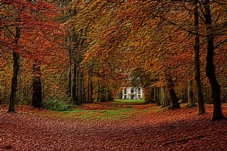 autumn-forest2a-1024x682.jpg
