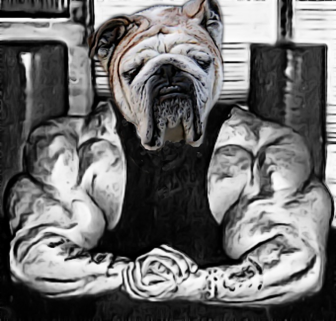 dog1.JPG
