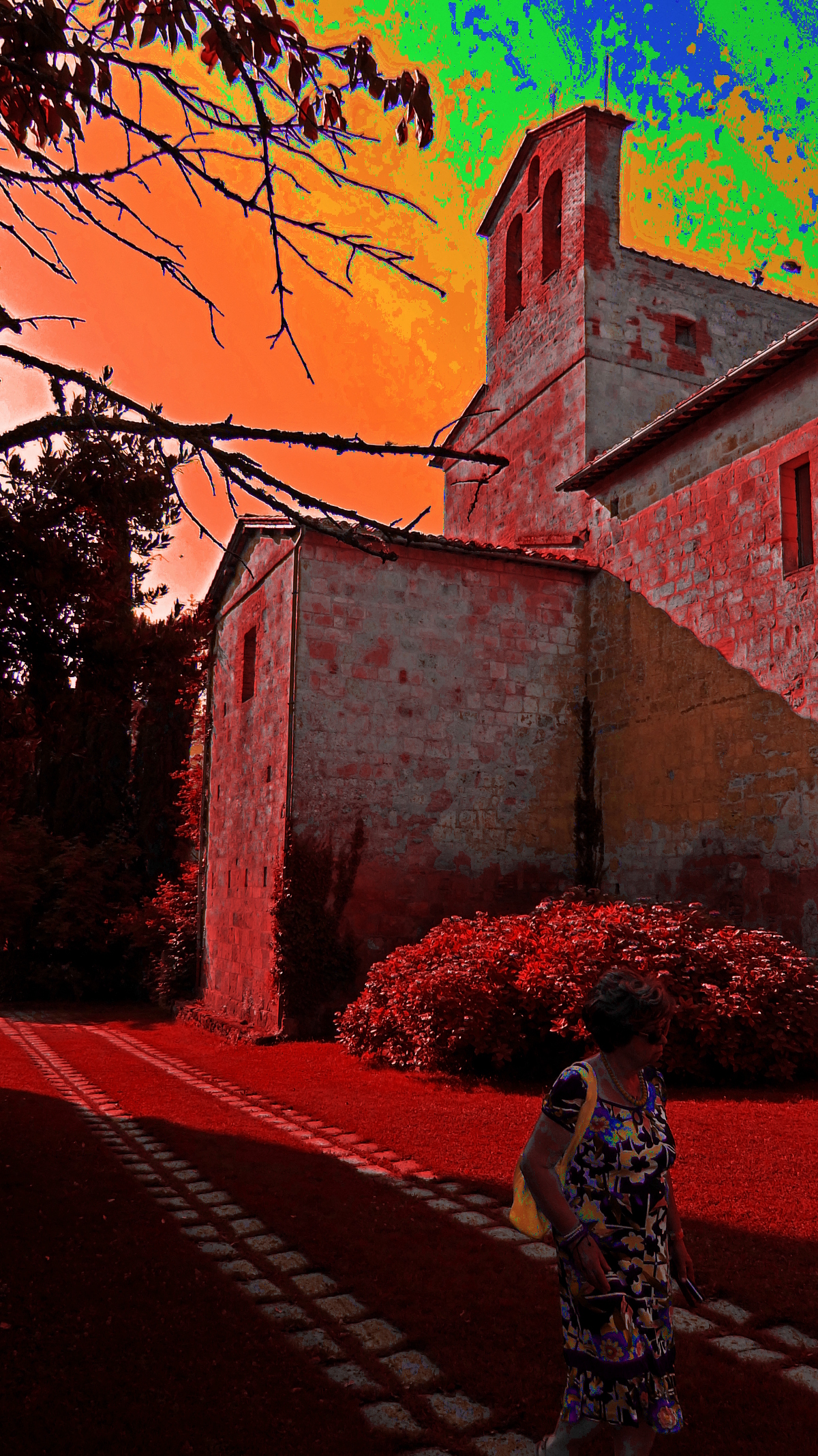 DSCF1339-HSV.JPG