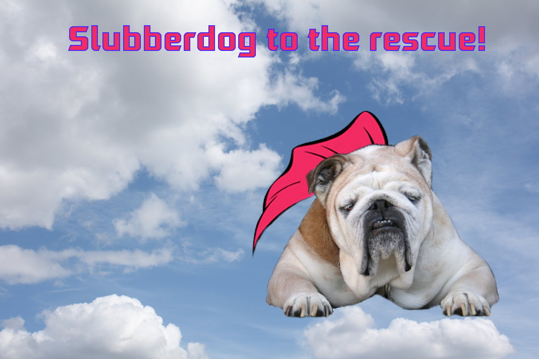 Slubberdog.jpg