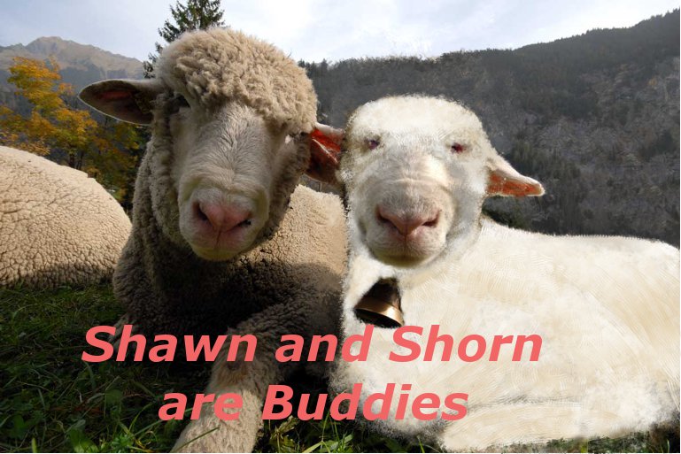 Shawn and Shorn.jpg