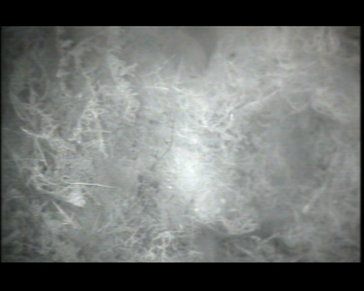 2015-04-20-17-58-14.jpg