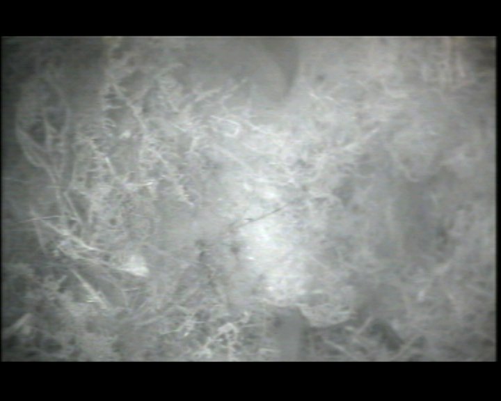 2015-04-20-18-00-02.jpg