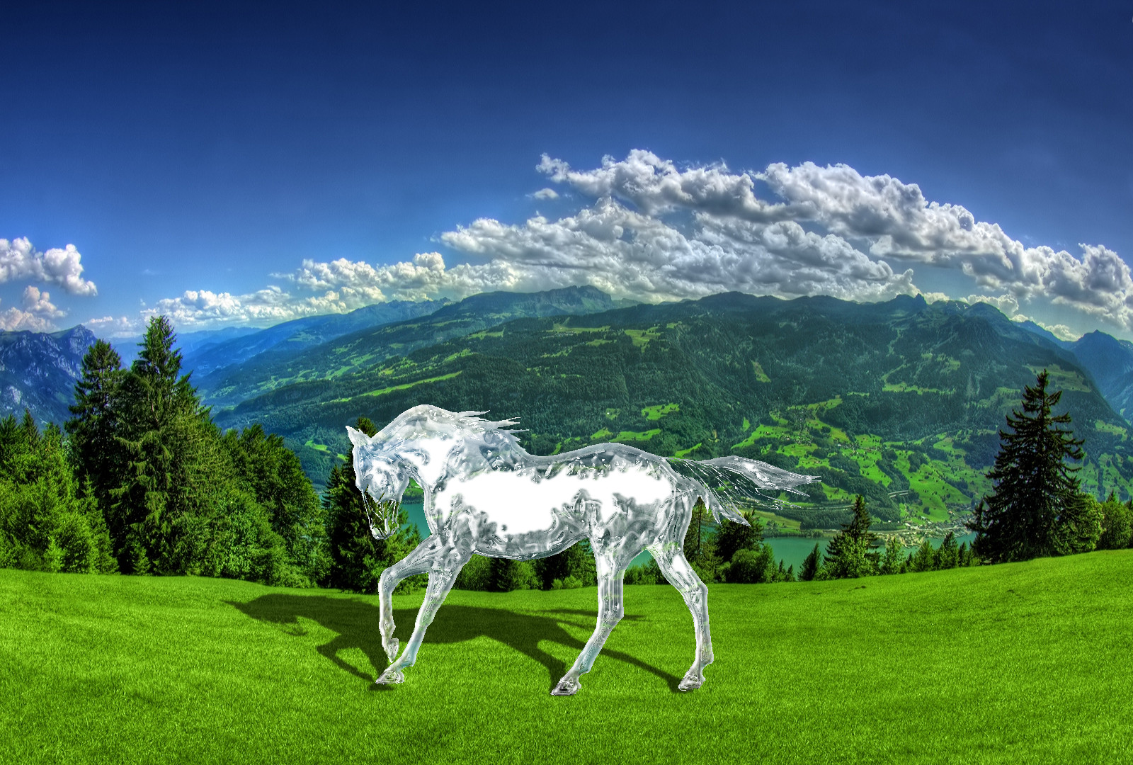 Clear Glass Horse on the lawn.JPG