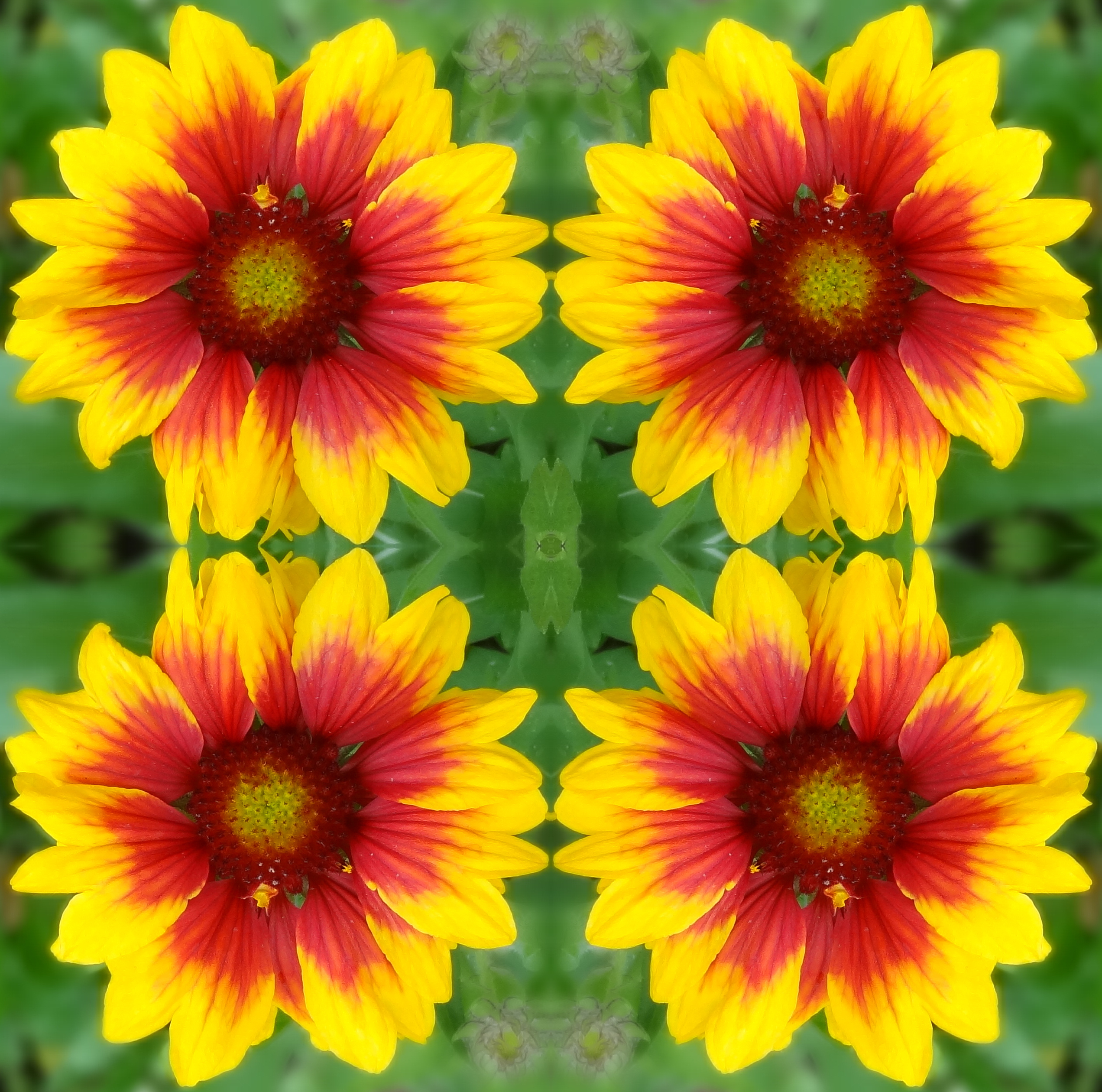 YF_ofn_symmetries.jpg