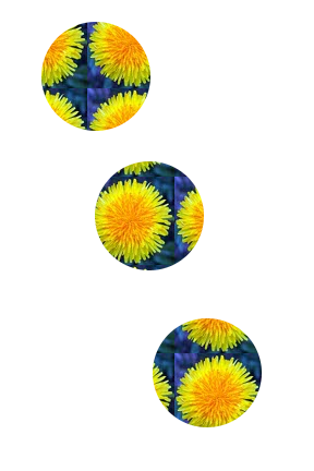 101pximagesmask.png