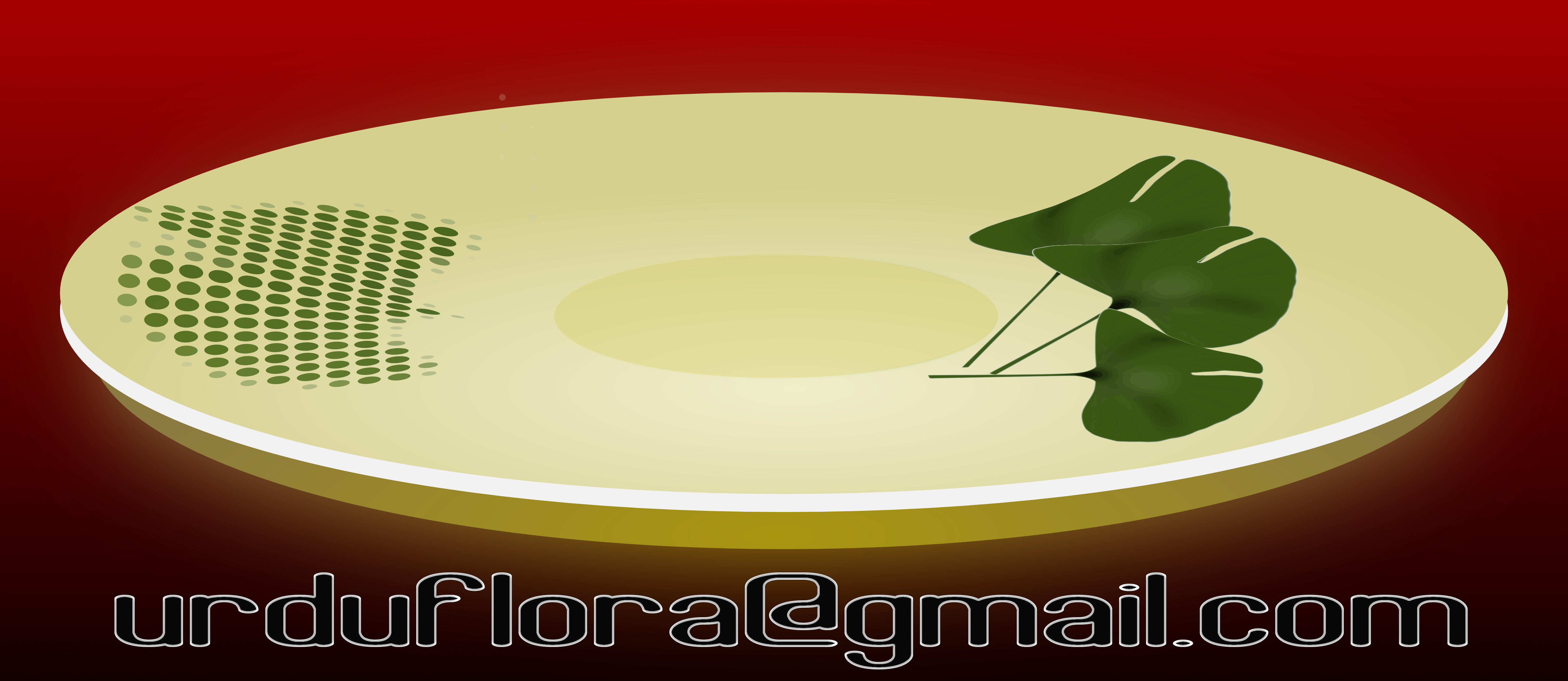 Saucer & Ginkgo biloba.jpg