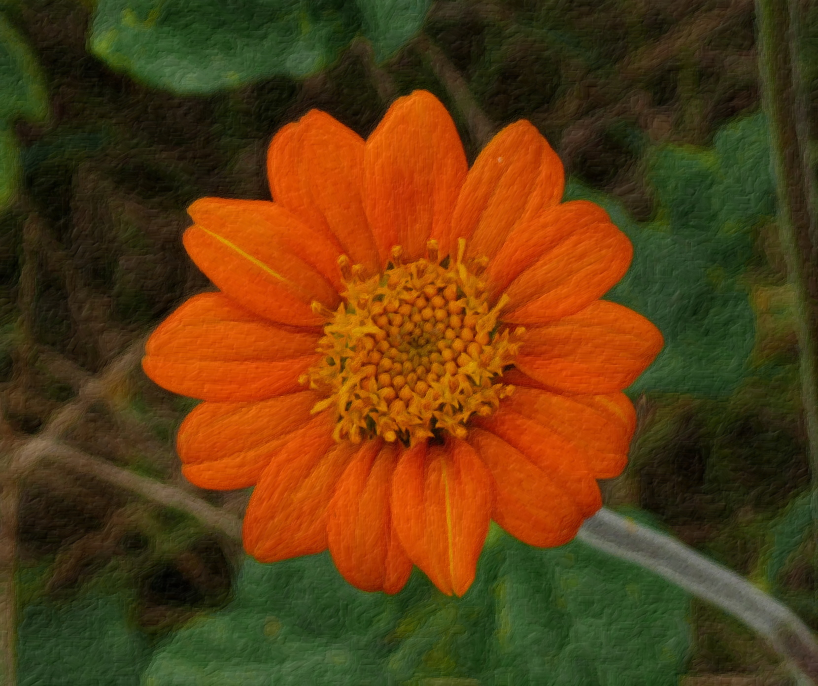 L1000145b.JPG