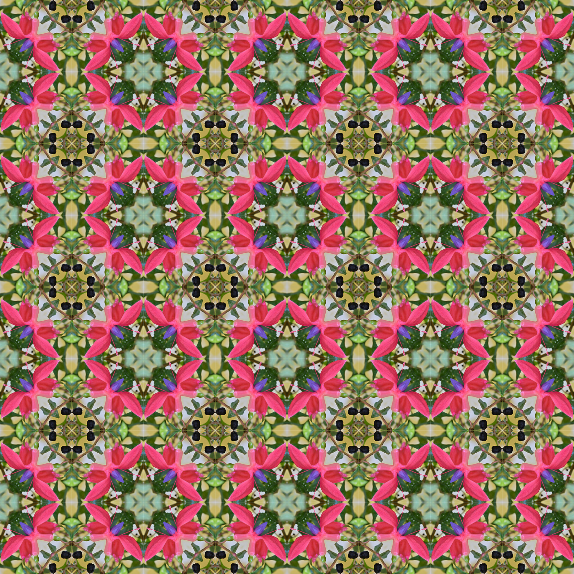 LittleFlower-Symmetry-Issa.jpg
