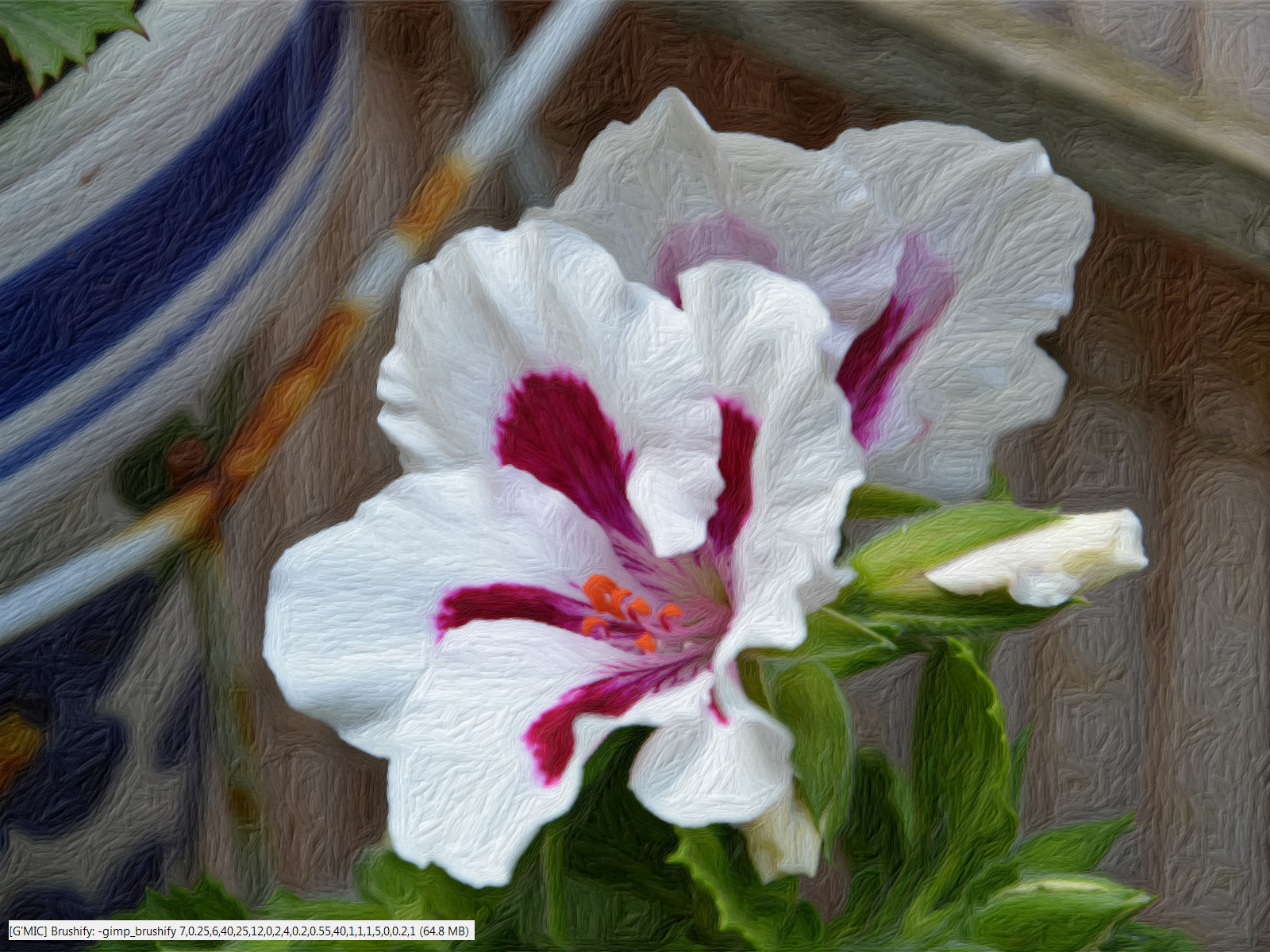 DSC_0081-Brushify.JPG