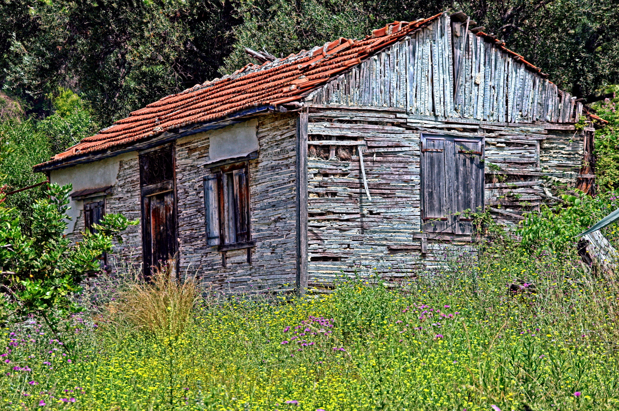old_house-toneMap+Contrast-freaky-details.jpg