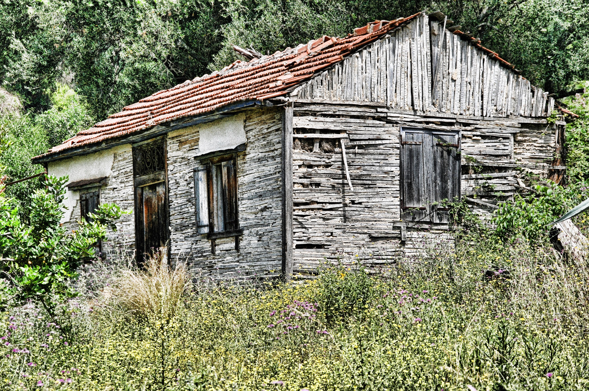 OldHouse2.jpg