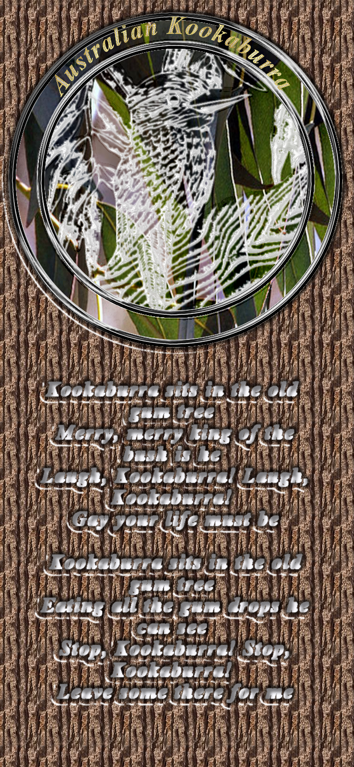 Kookaburra in glass.png