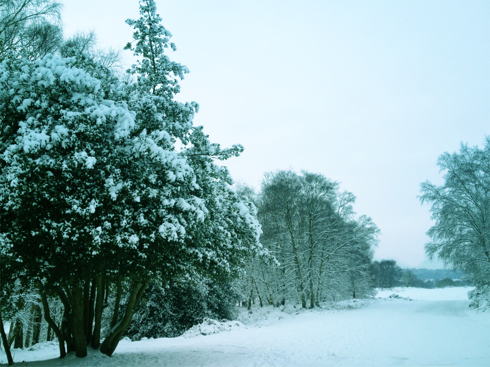 snowview.JPG
